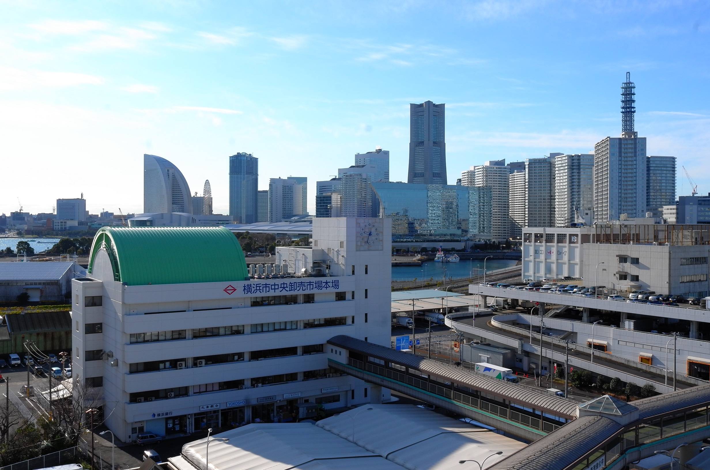 横浜市中央卸売市場本場