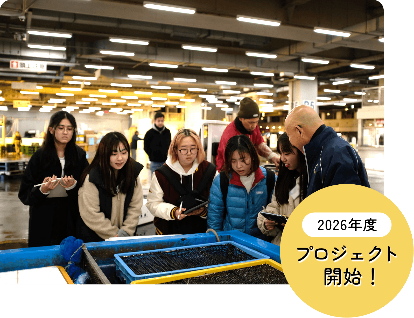 フィールドワークの様子